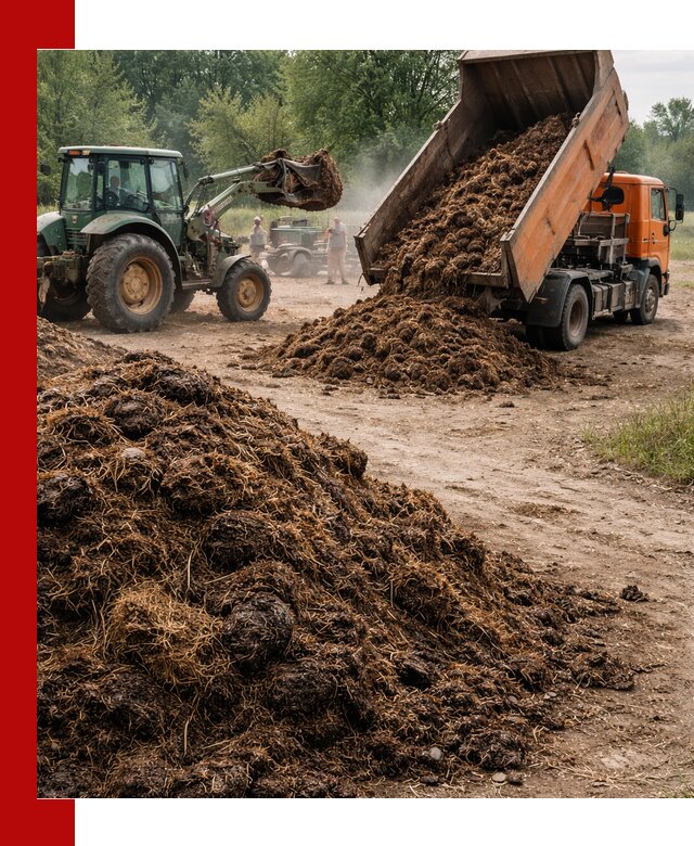 Доставка навоза самосвалами в Добрянке для сельхозпотребностей